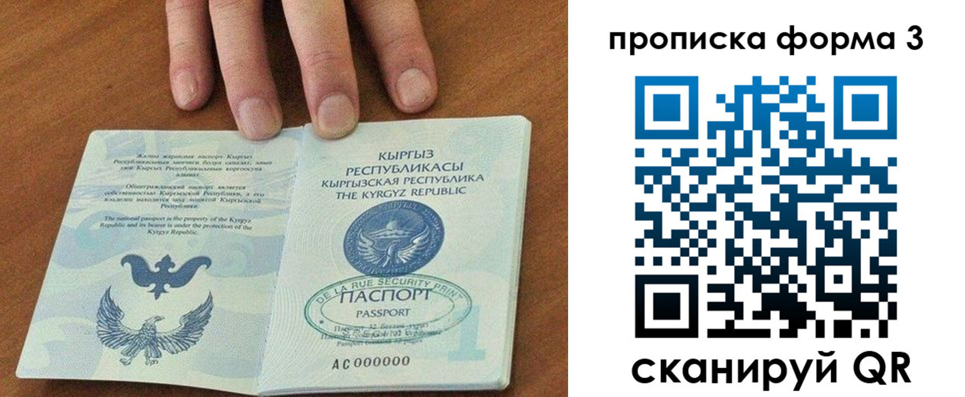 прописка 2025 в Донском